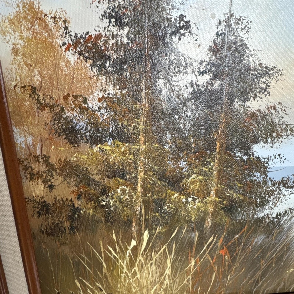 VTG Original 70s Framed Oil Painting Nature Ducks Flying Lake Art 17x20" Western - Picture 5 of 11